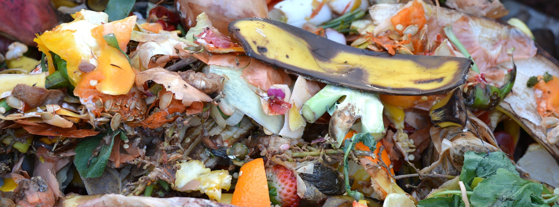 Food Waste is just that, waste